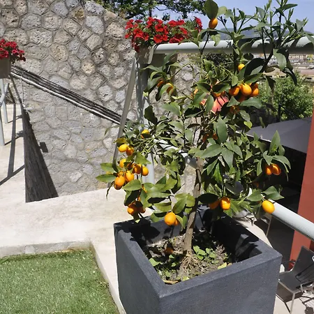 招待所 Via Delle 5 Terre 斯培西亚