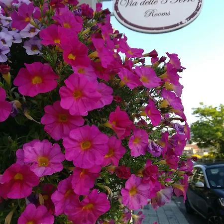 Via Delle 5 Terre 4* 斯培西亚