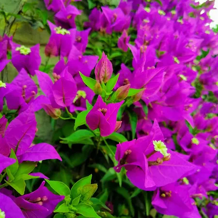 招待所 Via Delle 5 Terre