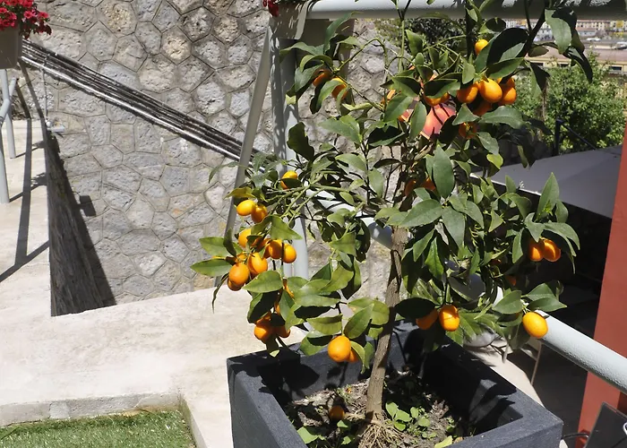 بيت ضيافة Via Delle 5 Terre لا سبيتسْيا