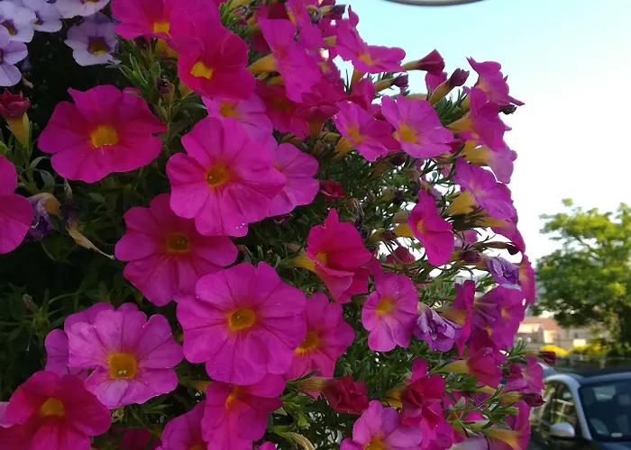 Via Delle 5 Terre 4* لا سبيتسْيا