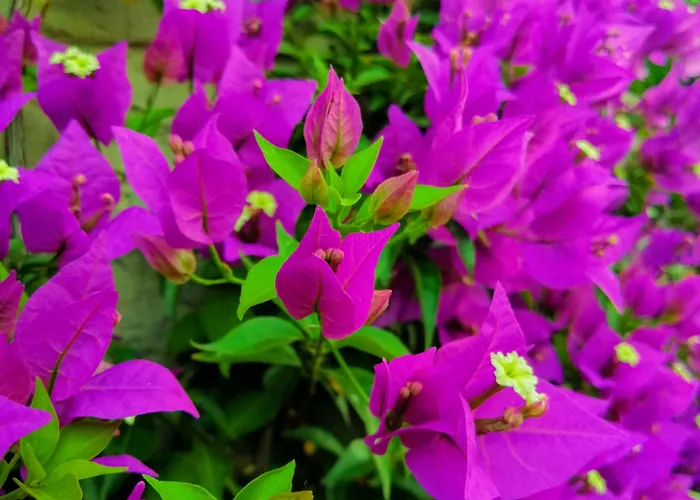 بيت ضيافة Via Delle 5 Terre